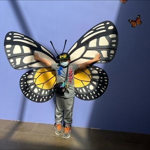 Meet your Posher, Connie